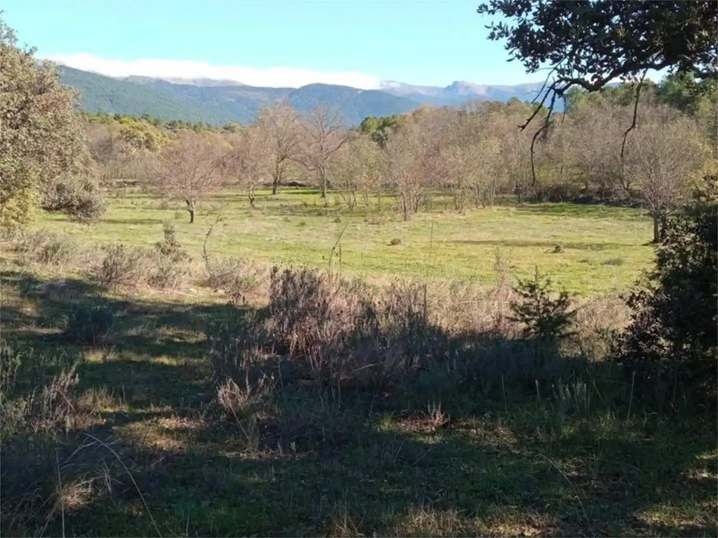 Land for sale in Calle Iglesia, 59, Casavieja Land for sale in Casavieja