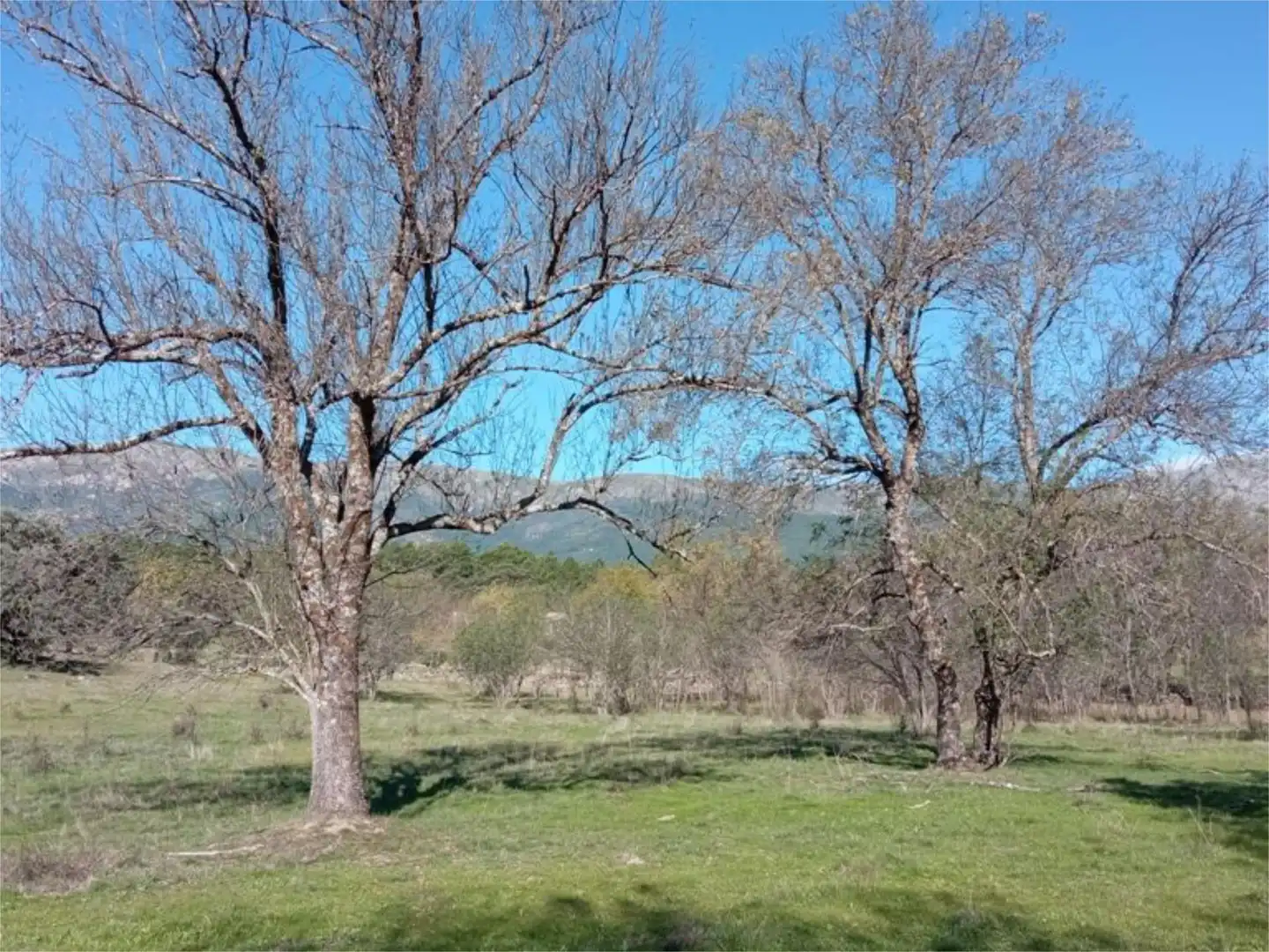 Land for sale in Calle Iglesia, 59, Casavieja Land for sale in Casavieja