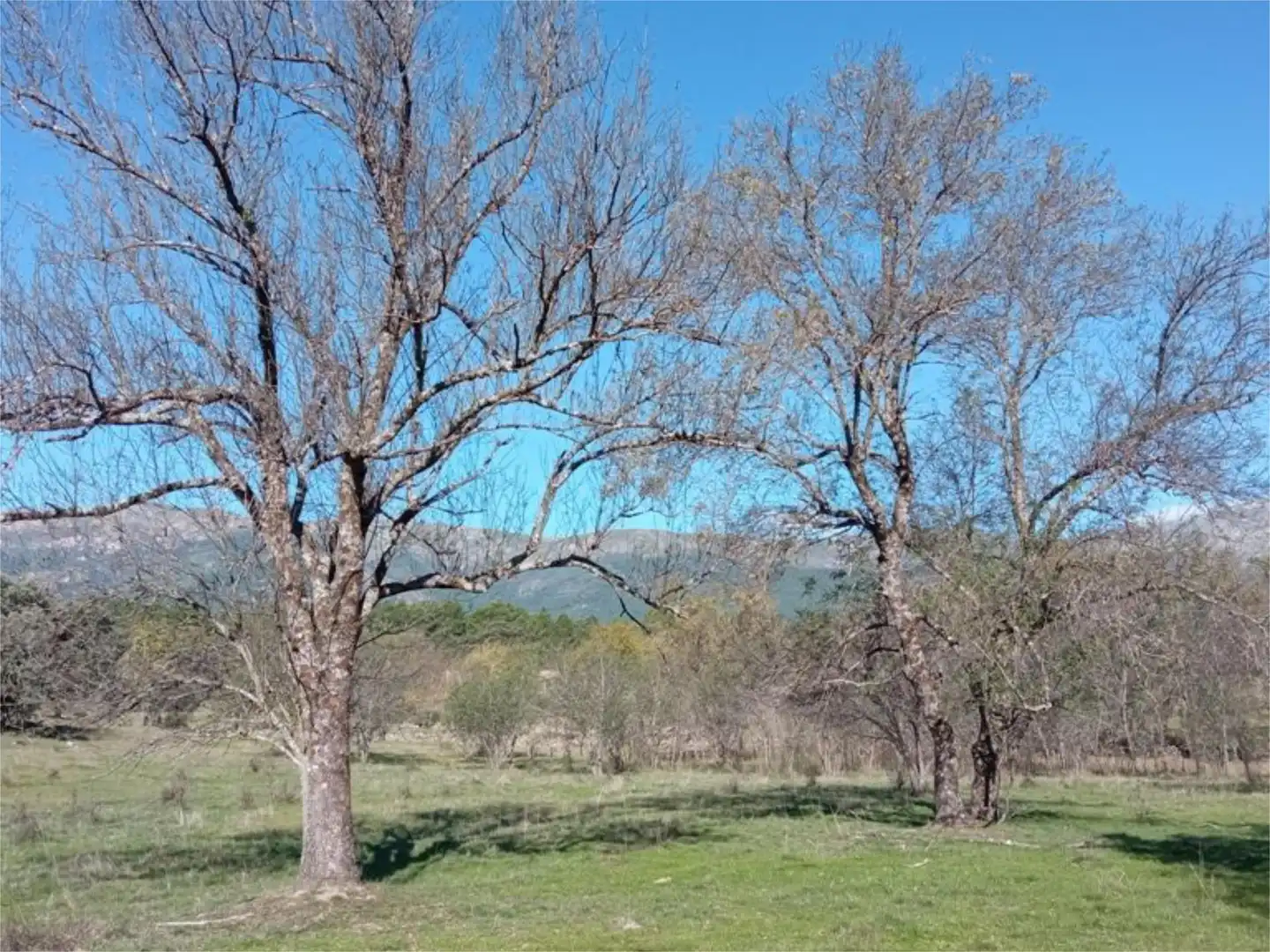 Land for sale in Calle Iglesia, 59, Casavieja Land for sale in Casavieja