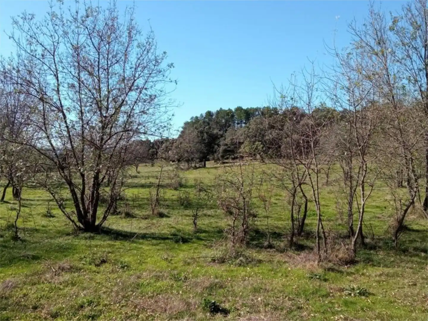 Land for sale in Calle Iglesia, 59, Casavieja Land for sale in Casavieja