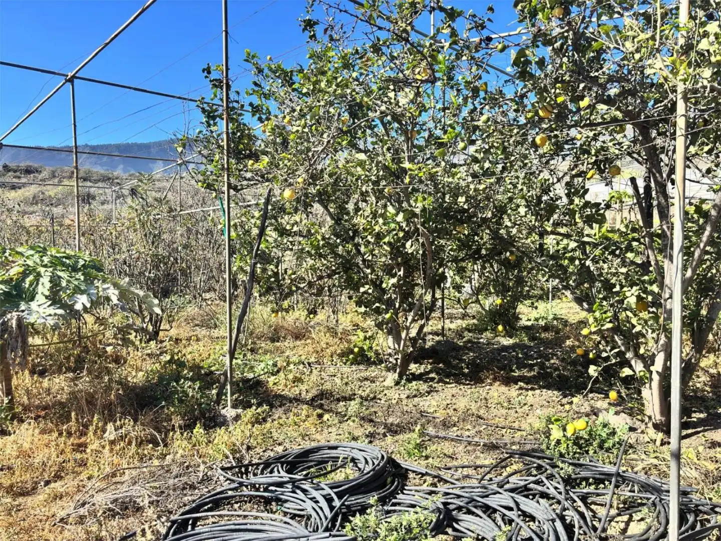 No Urbanizable en venta en Carretera Güimar-Arafo, 1, Centro No Urbanizable en venta en Güímar