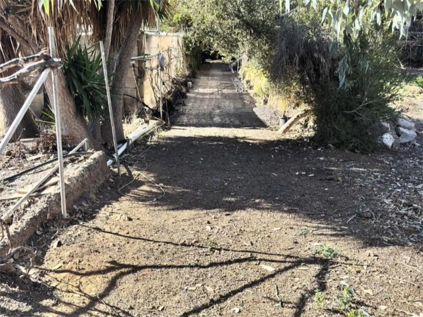 No Urbanizable en venta en Carretera Güimar-Arafo, 1, Centro Vista exterior de No Urbanizable en venta en Güímar