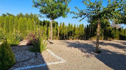 House or chalet for sale in Cm-45, 62, Pozuelo de Calatrava, Ciudad Real - image 5 Photo 5 of House or chalet for sale in Cm-45, 62, Pozuelo de Calatrava, Ciudad Real