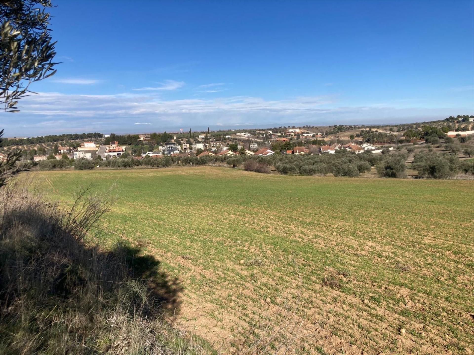 Non-constructible Land for sale in Olías del Rey