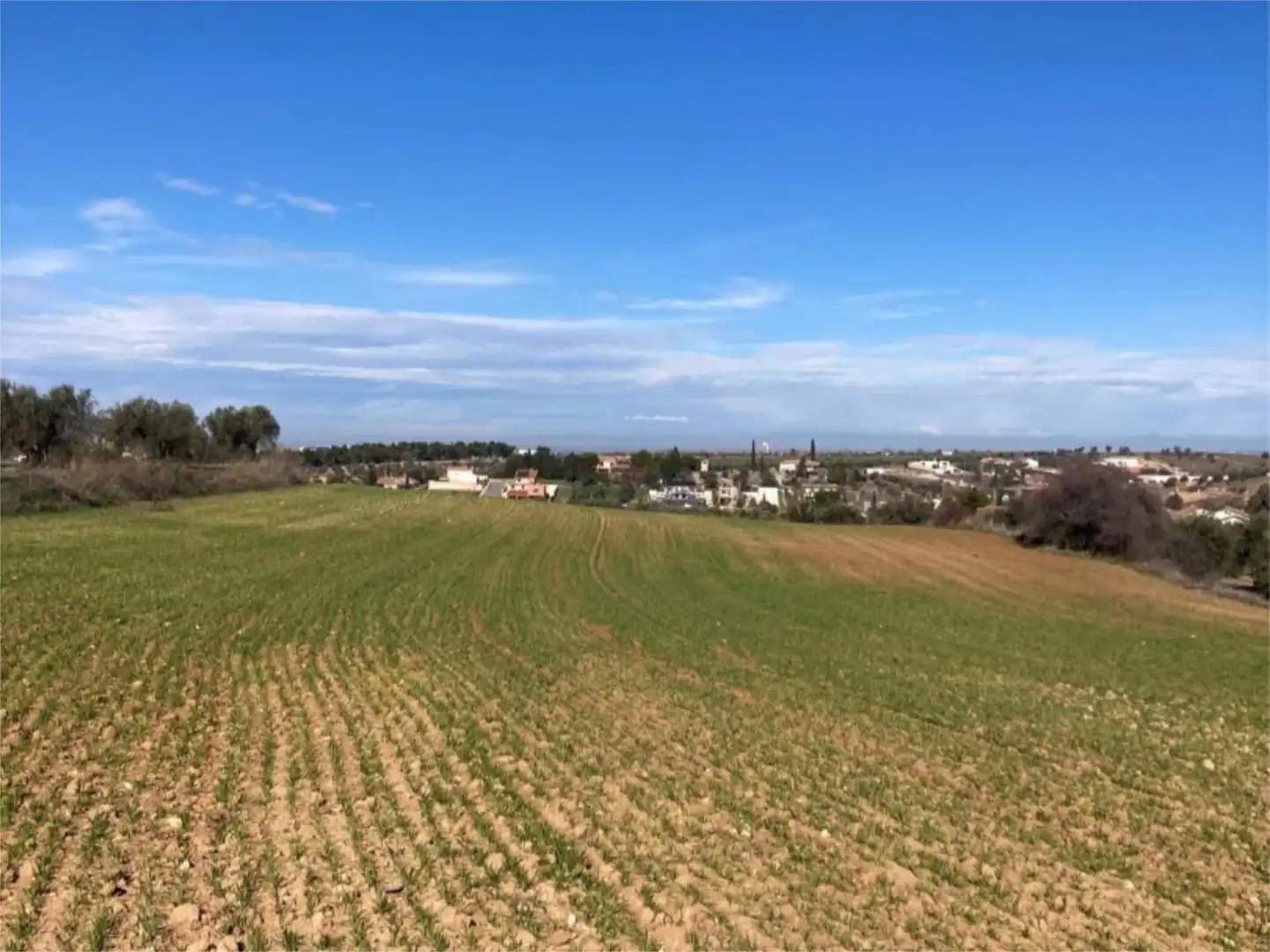 No Urbanitzable en venda a Camino Azucaica, Olías del Rey No Urbanitzable en venda en Olías del Rey