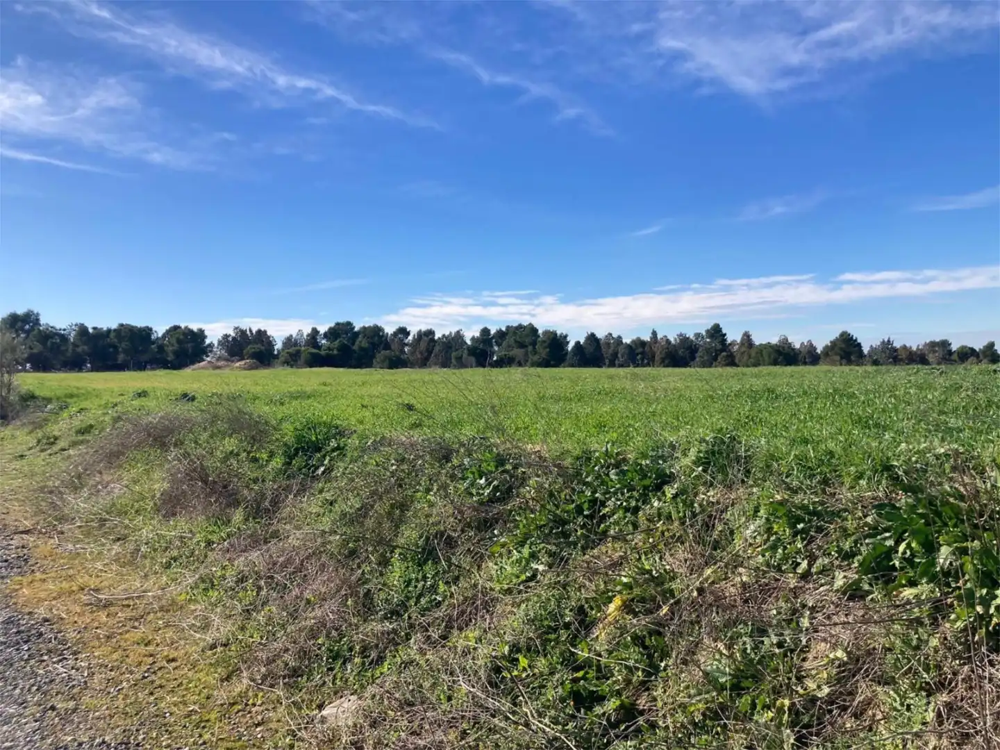 No Urbanitzable en venda a Camino Azucaica, Olías del Rey No Urbanitzable en venda en Olías del Rey