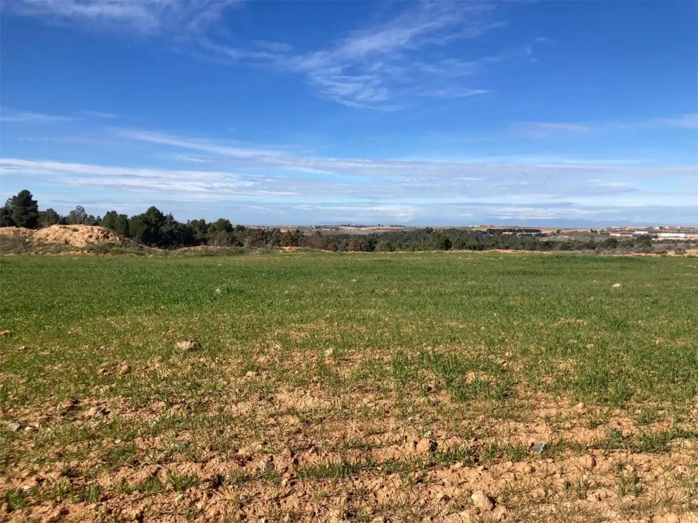 No Urbanitzable en venda a Camino Azucaica, Olías del Rey No Urbanitzable en venda en Olías del Rey