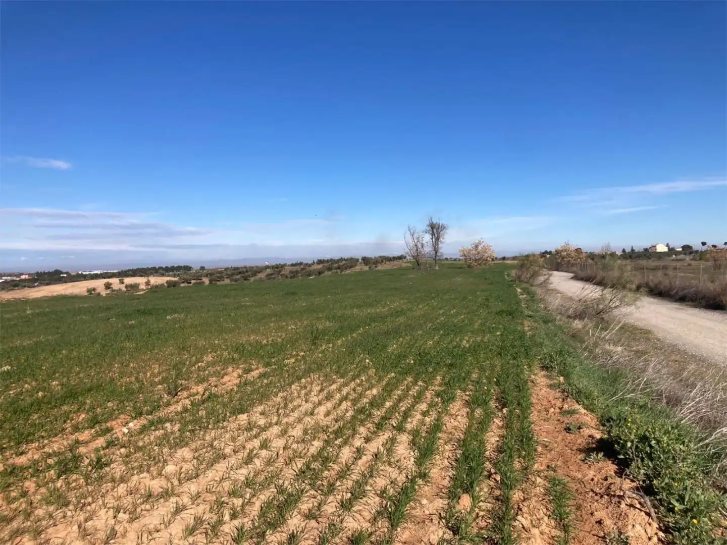 No Urbanitzable en venda a Camino Azucaica, Olías del Rey No Urbanitzable en venda en Olías del Rey