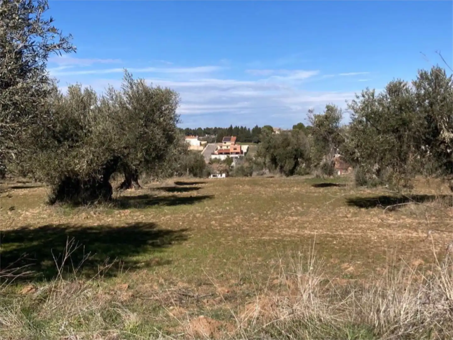 No Urbanitzable en venda a Camino Azucaica, Olías del Rey No Urbanitzable en venda en Olías del Rey