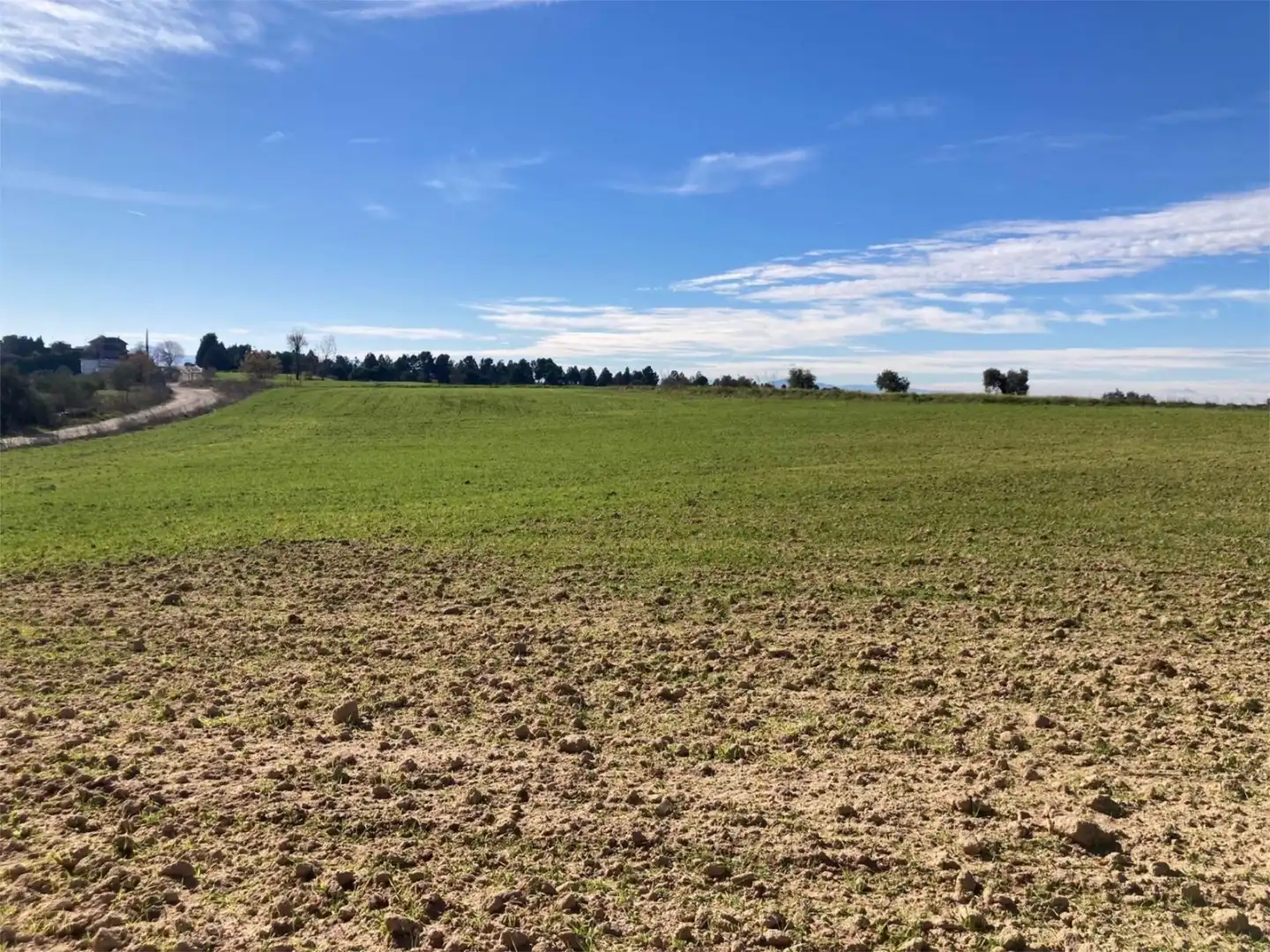 No Urbanitzable en venda a Camino Azucaica, Olías del Rey No Urbanitzable en venda en Olías del Rey