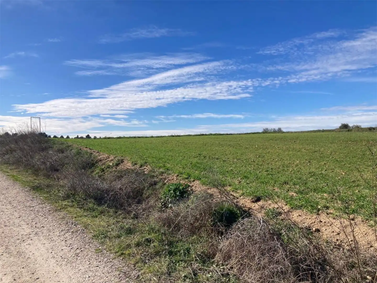 No Urbanitzable en venda a Camino Azucaica, Olías del Rey No Urbanitzable en venda en Olías del Rey
