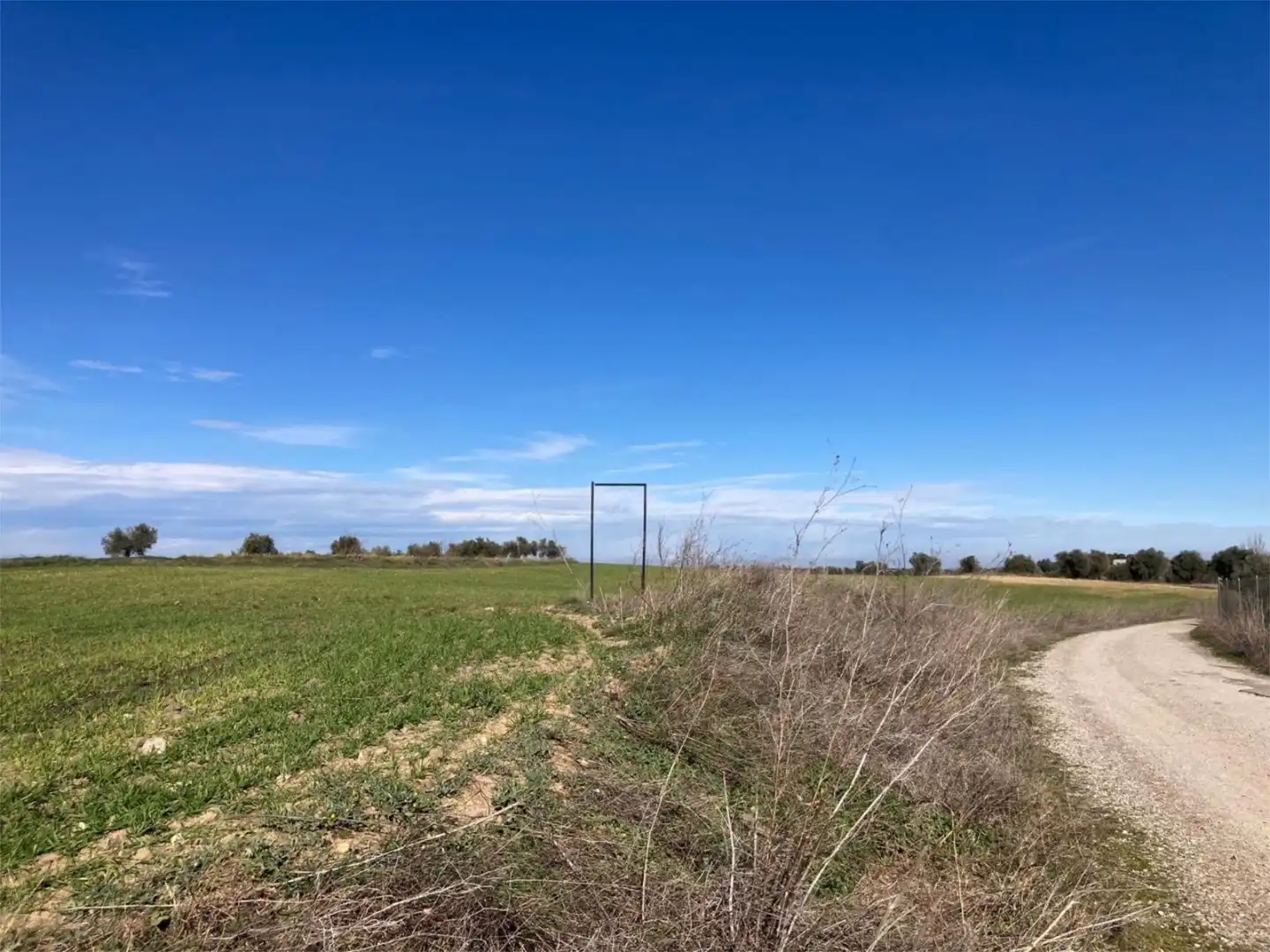 No Urbanitzable en venda a Camino Azucaica, Olías del Rey No Urbanitzable en venda en Olías del Rey
