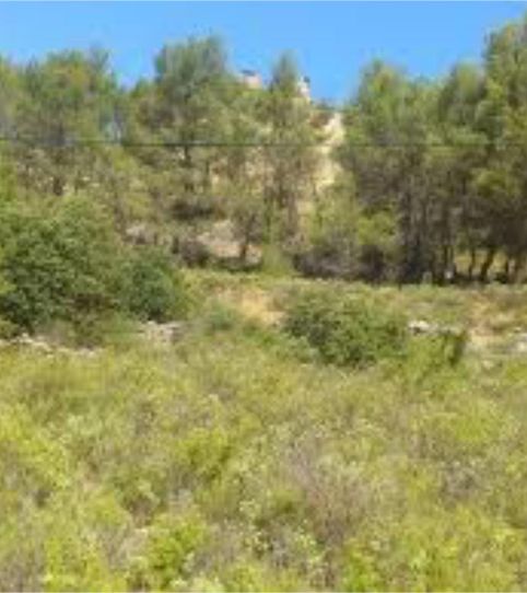 Photo 2 of Constructible Land for sale in Urbanizacion Los Pinares, 190, Renera, Guadalajara