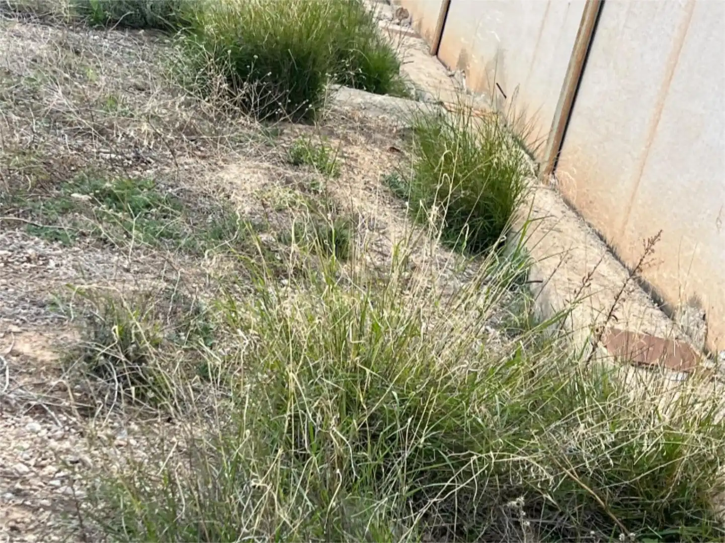 Garden of Industrial buildings for sale in La Guardia de Jaén