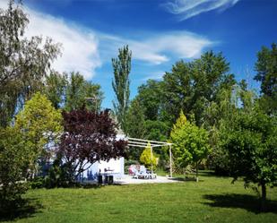 Garden of House or chalet to rent in Aranjuez  with Air Conditioner, Heating and Private garden