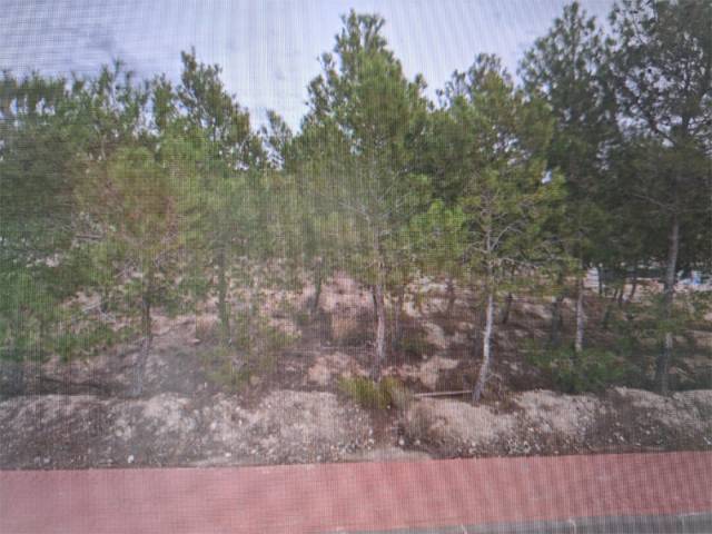 Terreno urbanizable en Venta en Calle Rubens, 17I en Los Conejos