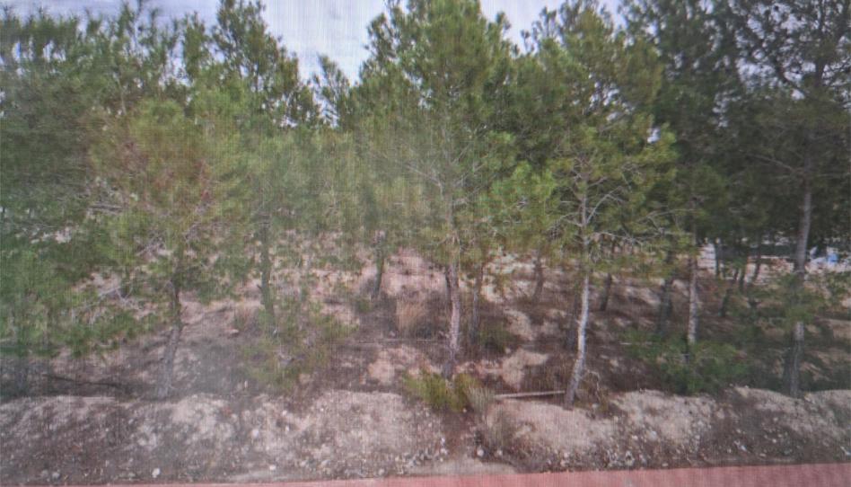Constructible Land for sale in Calle Rubens, 17i, Los Conejos, Murcia - image 1 Photo 1 of Constructible Land for sale in Calle Rubens, 17i, Los Conejos, Murcia