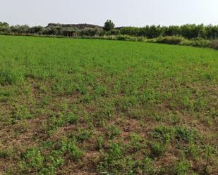 Land for sale in Alcañiz
