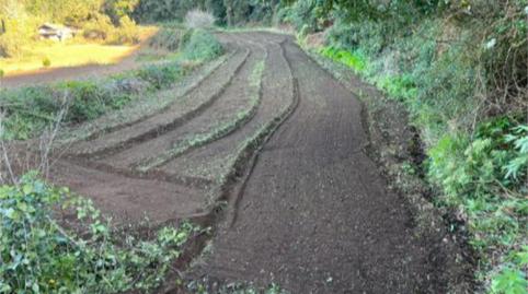 Photo 4 of Flat for sale in Caserio Taborno, 1, Anaga,  Santa Cruz de Tenerife Capital