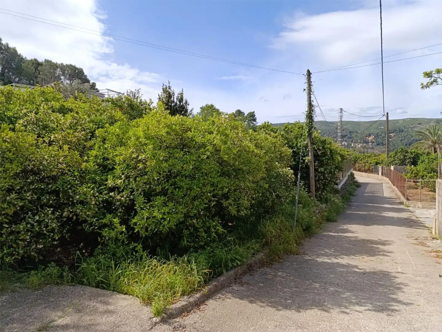 Non-constructible Land for sale in Carrer la Solana, 16, Urbanitzacions i Pedanies Sud Exterior view of Non-constructible Land for sale in Alzira