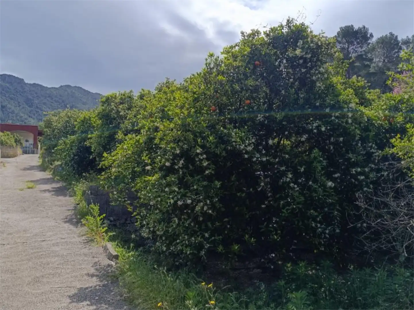Non-constructible Land for sale in Carrer la Solana, 16, Urbanitzacions i Pedanies Sud Non-constructible Land for sale in Alzira