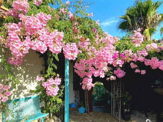 Piso en Venta en Cap Martí - El Tossalet - Pinomar