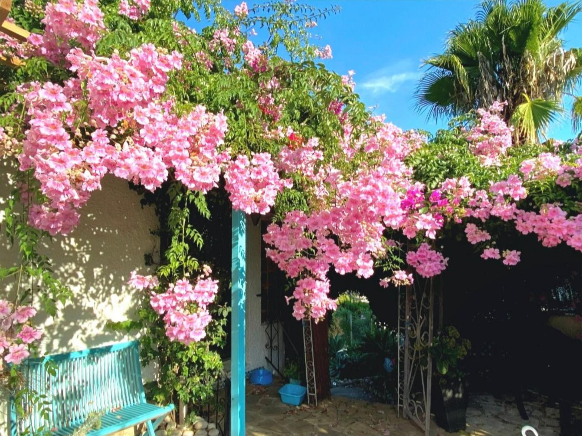 Flat for sale in Cap Martí - El Tossalet - Pinomar