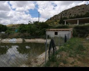 Finca rústica en venda en Cehegín amb Jardí privat i Piscina