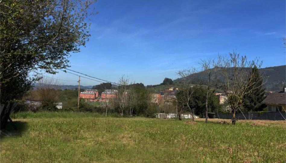 Residential for sale in Lugar Olivares, 98, Olivares, Asturias - image 1 Photo 1 of Residential for sale in Lugar Olivares, 98, Olivares, Asturias