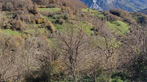 Photo 5 of Single-family semi-detached for sale in Avenida Prao Palacio, 1, Teverga, Asturias