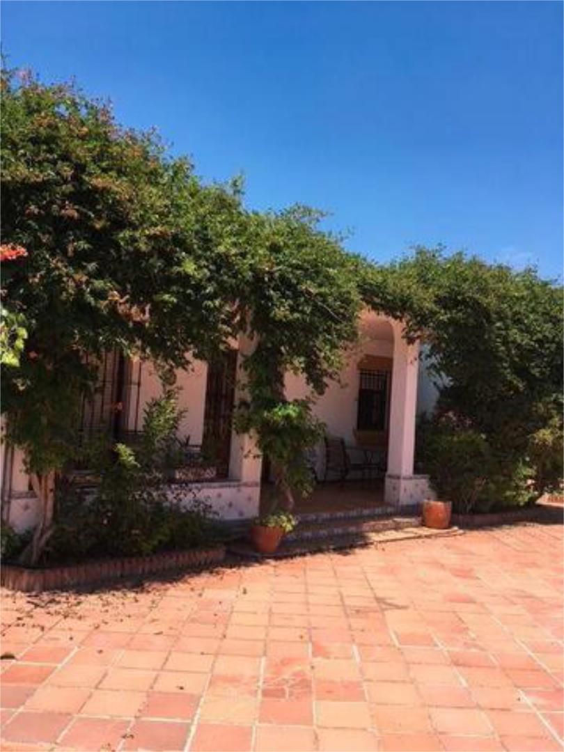 Jardí de Casa o xalet en venda en Puente Genil amb Jardí privat, Terrassa i Traster