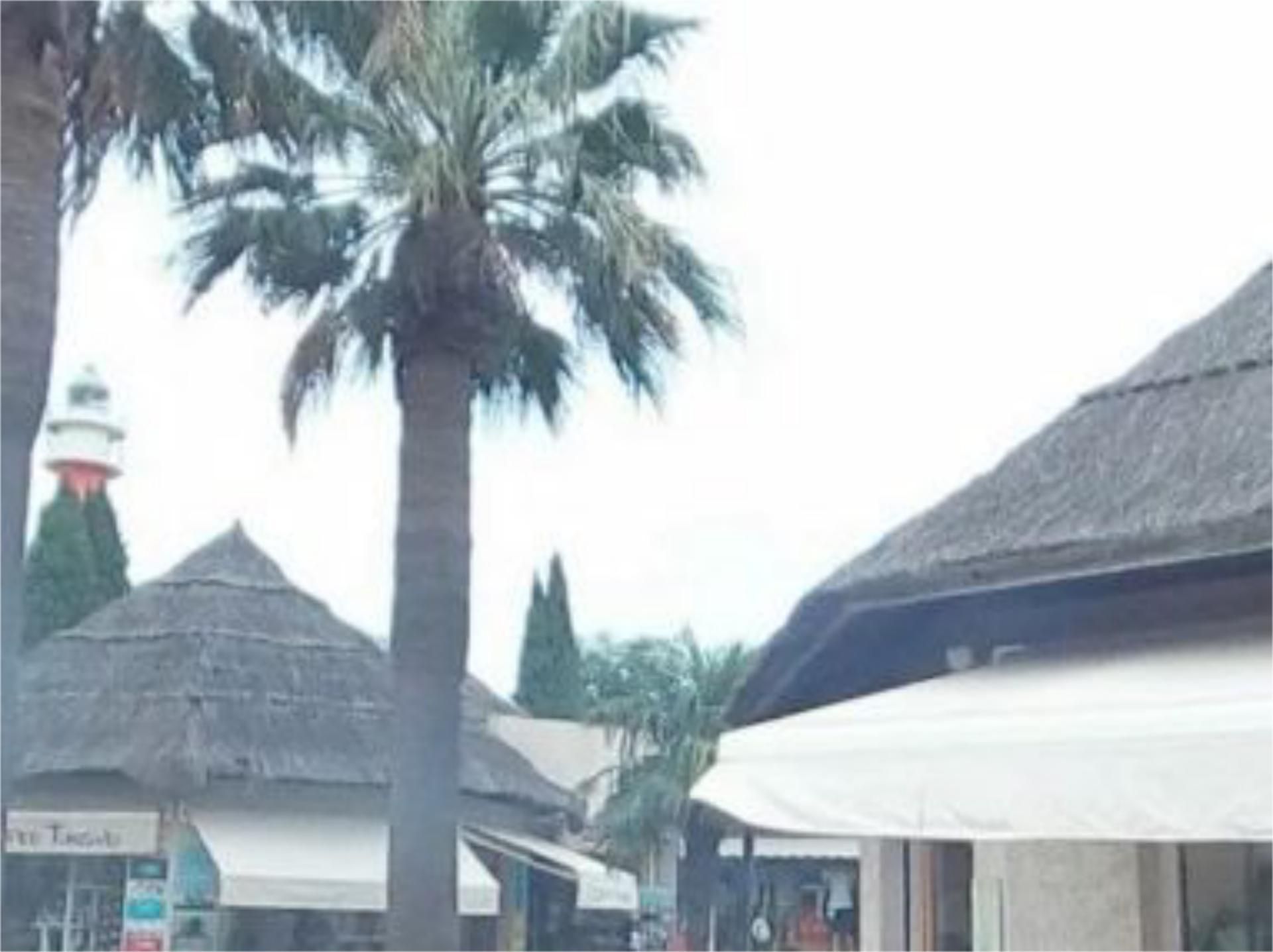 Premises to rent in El Rompido