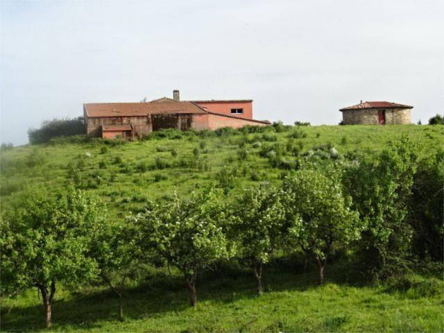 Terreno en Venta en Avenida Sierra de Gata, 9 en Perales del Puerto