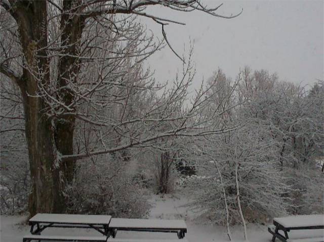 Casa adosada en Alquiler en calle virgen de la vega, 24 en Alcalá de la Selva