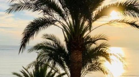 Apartment to rent in Calle Montañar, 4, Montañar - El Arenal, Alicante - image 2 Photo 2 of Apartment to rent in Calle Montañar, 4, Montañar - El Arenal, Alicante