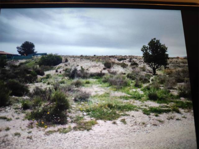 Terreno en Venta en Calle Sector Zep, 62 en El Fenazar - Campotéjar