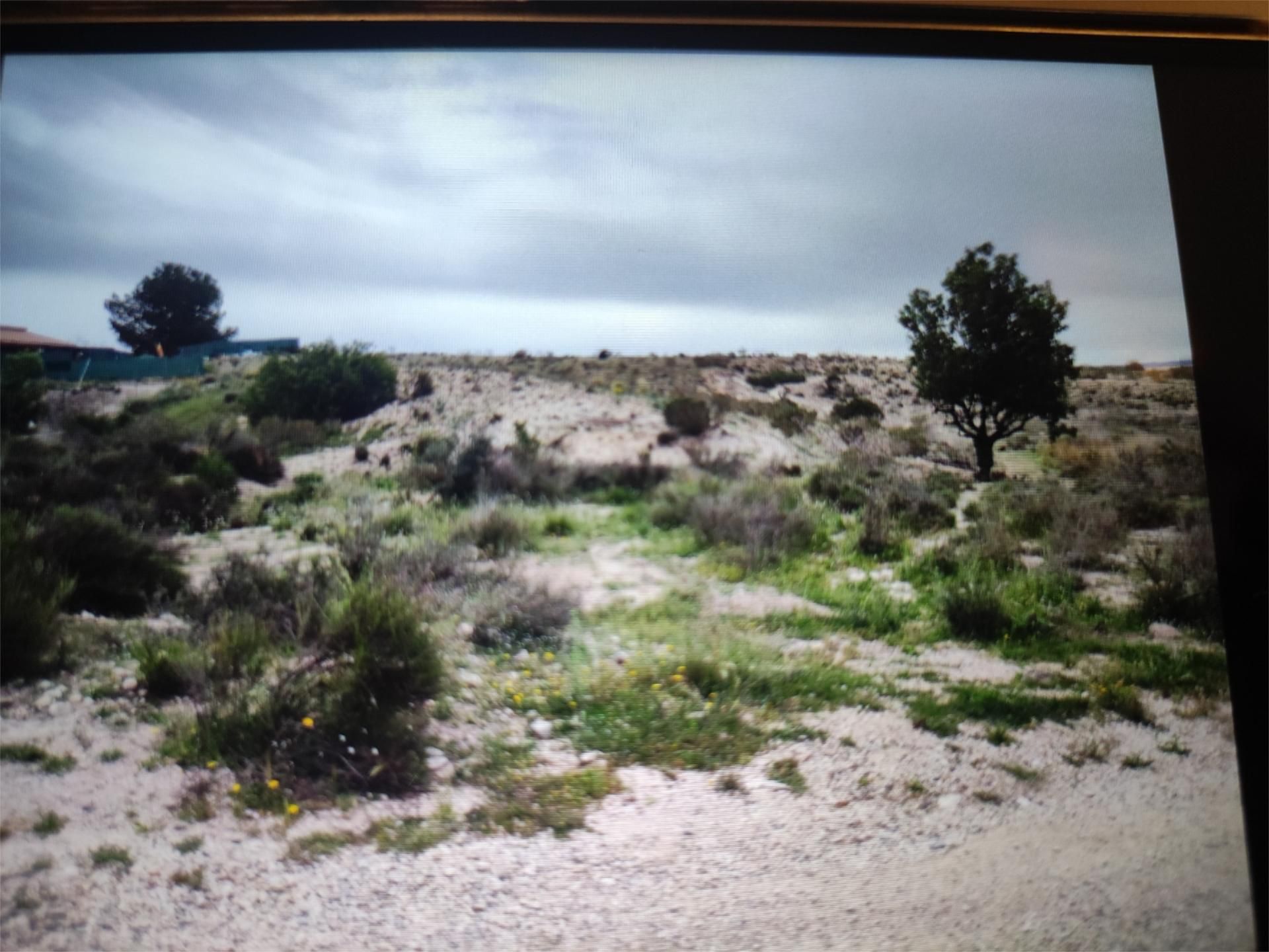 Land for sale in Molina de Segura