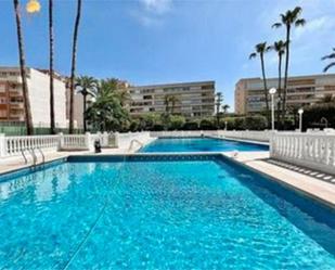 Swimming pool of Flat to rent in Torrevieja  with Private garden, Terrace and Swimming Pool
