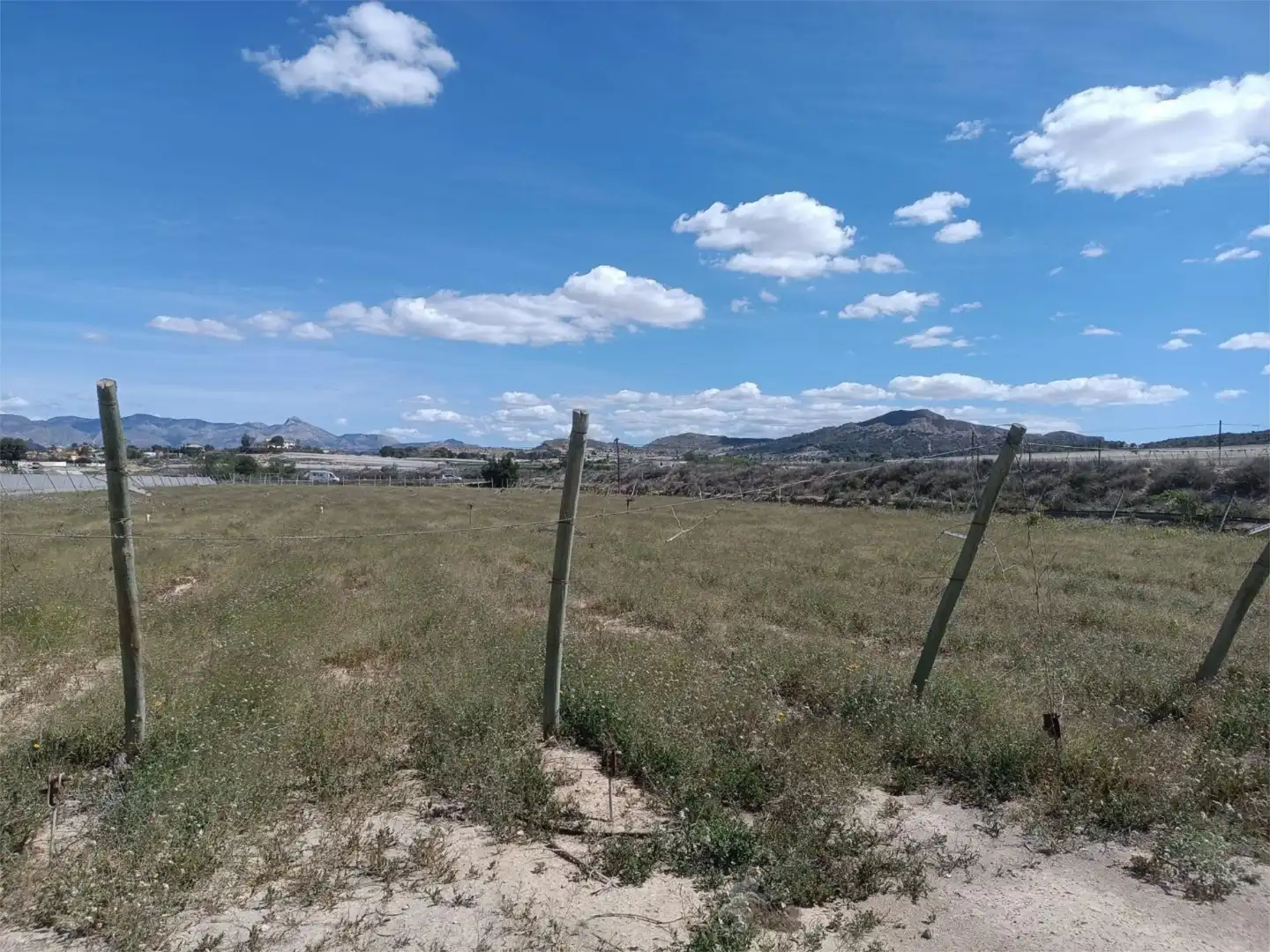 No Urbanizable en venta en Monforte del Cid