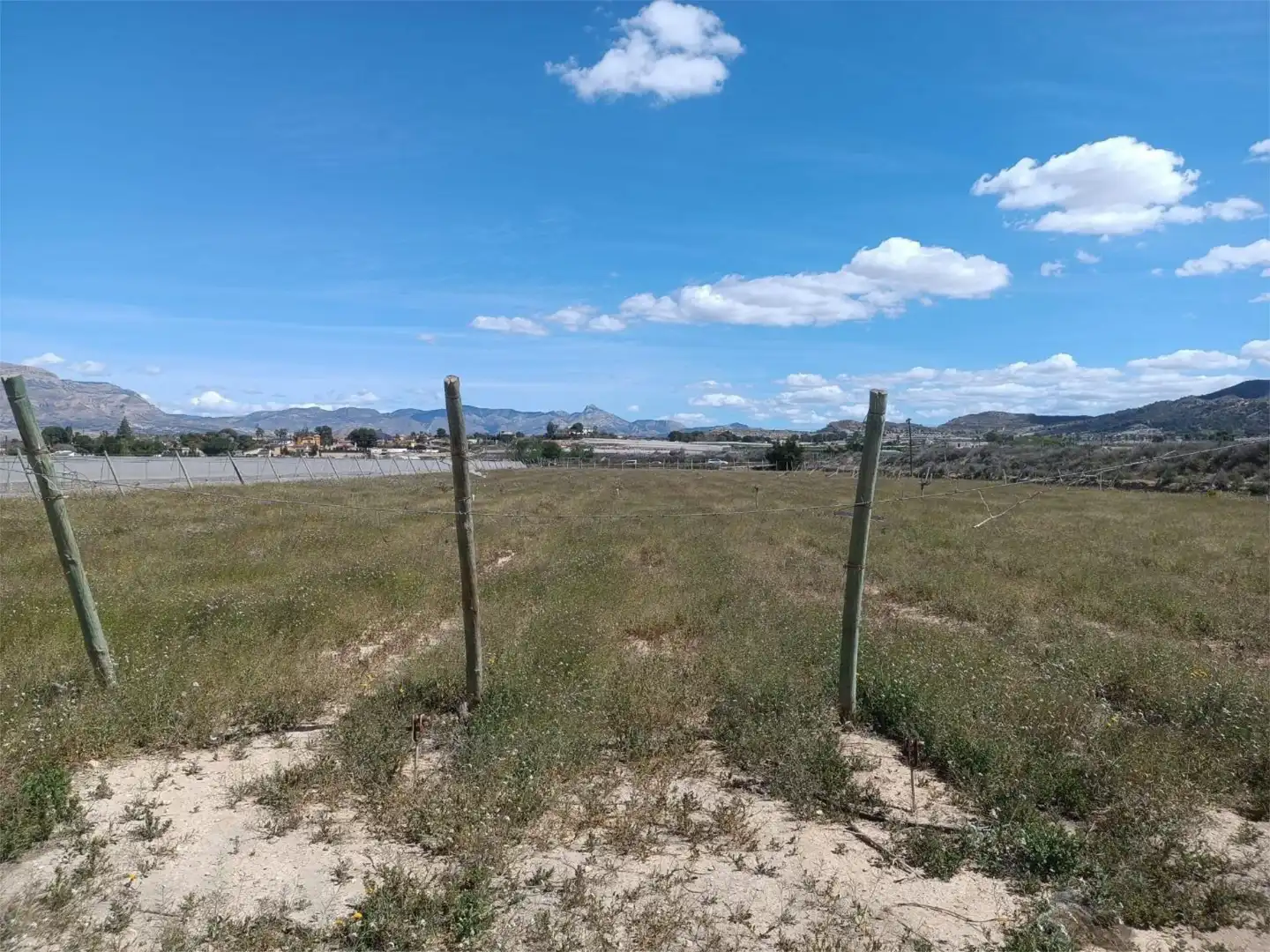 No Urbanizable en venta en Monforte del Cid