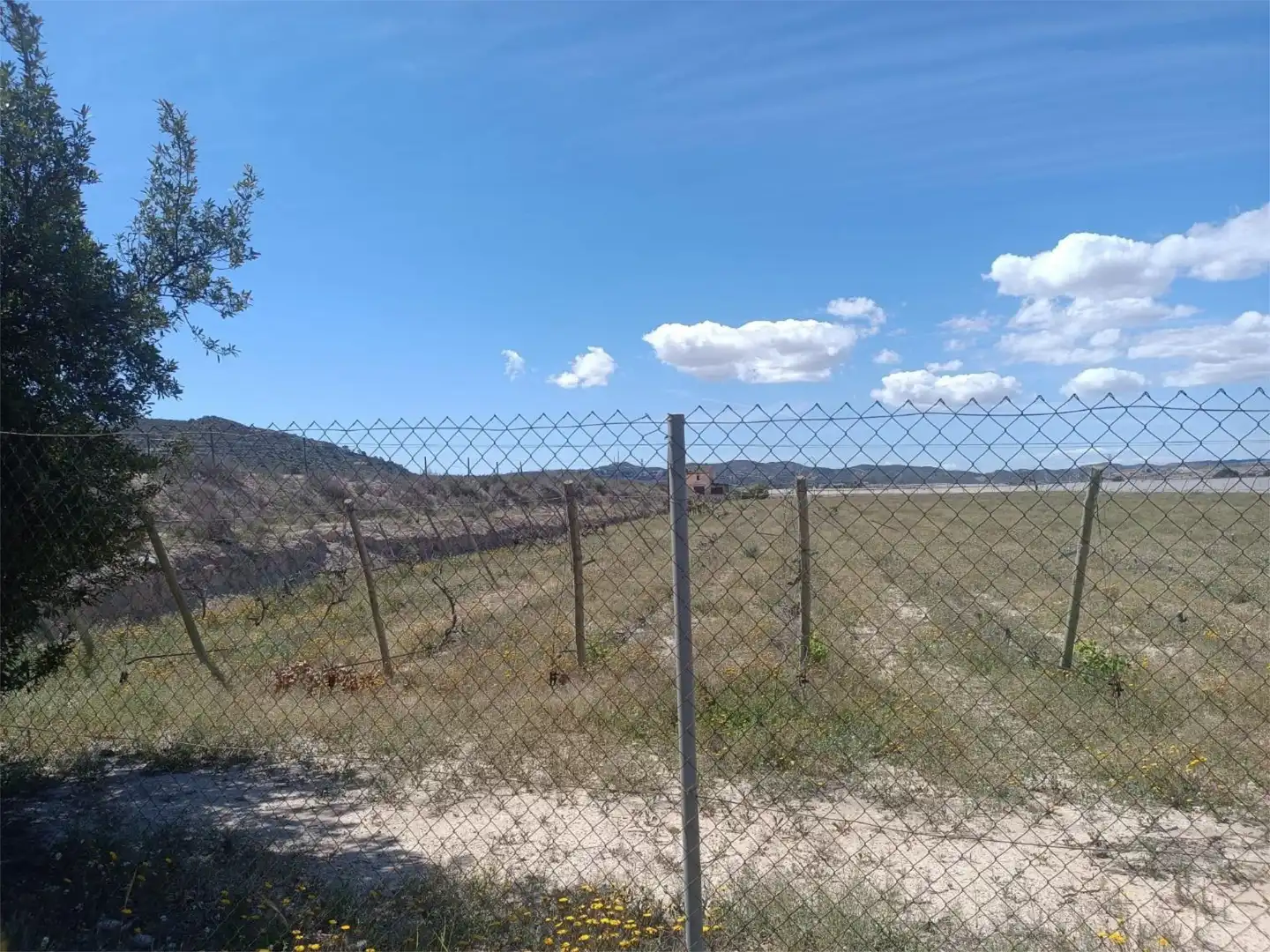 No Urbanizable en venta en Monforte del Cid