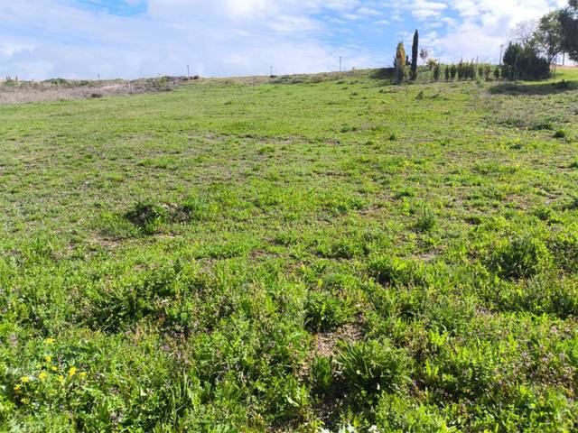 Terreno residencial en Venta en Carretera Renedo-Pesquera de Duero, 17 en Renedo de Esgueva