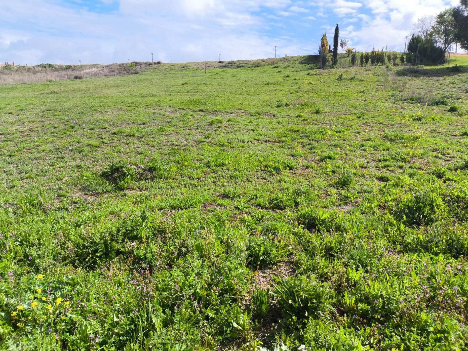 Residencial en venda en Renedo de Esgueva