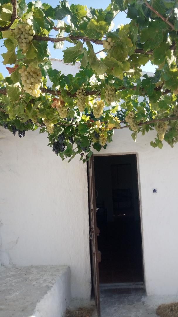 Finca rústica en venda en Alhama de Granada