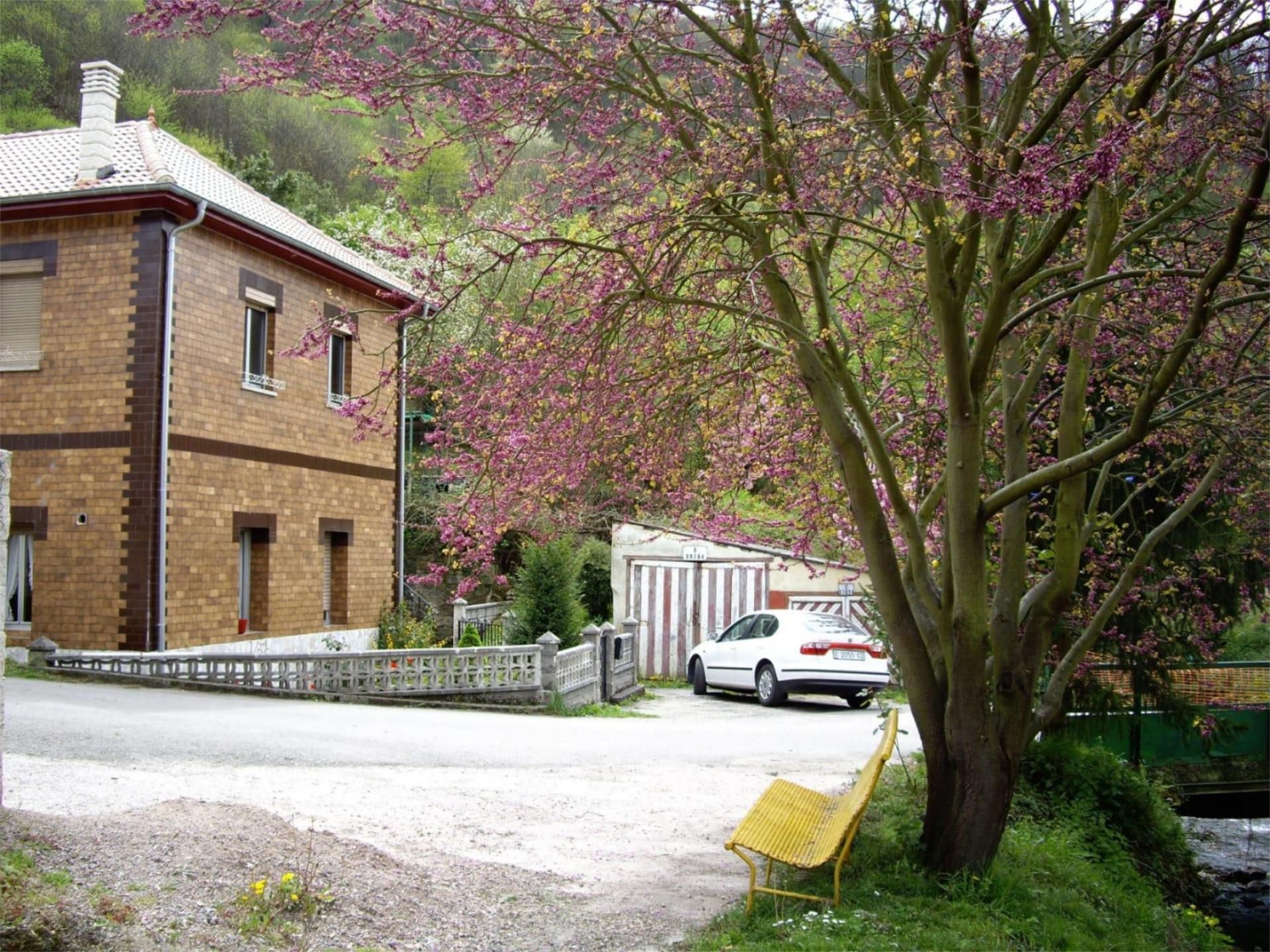 Exterior view of House or chalet for sale in Mieres (Asturias)  with Terrace