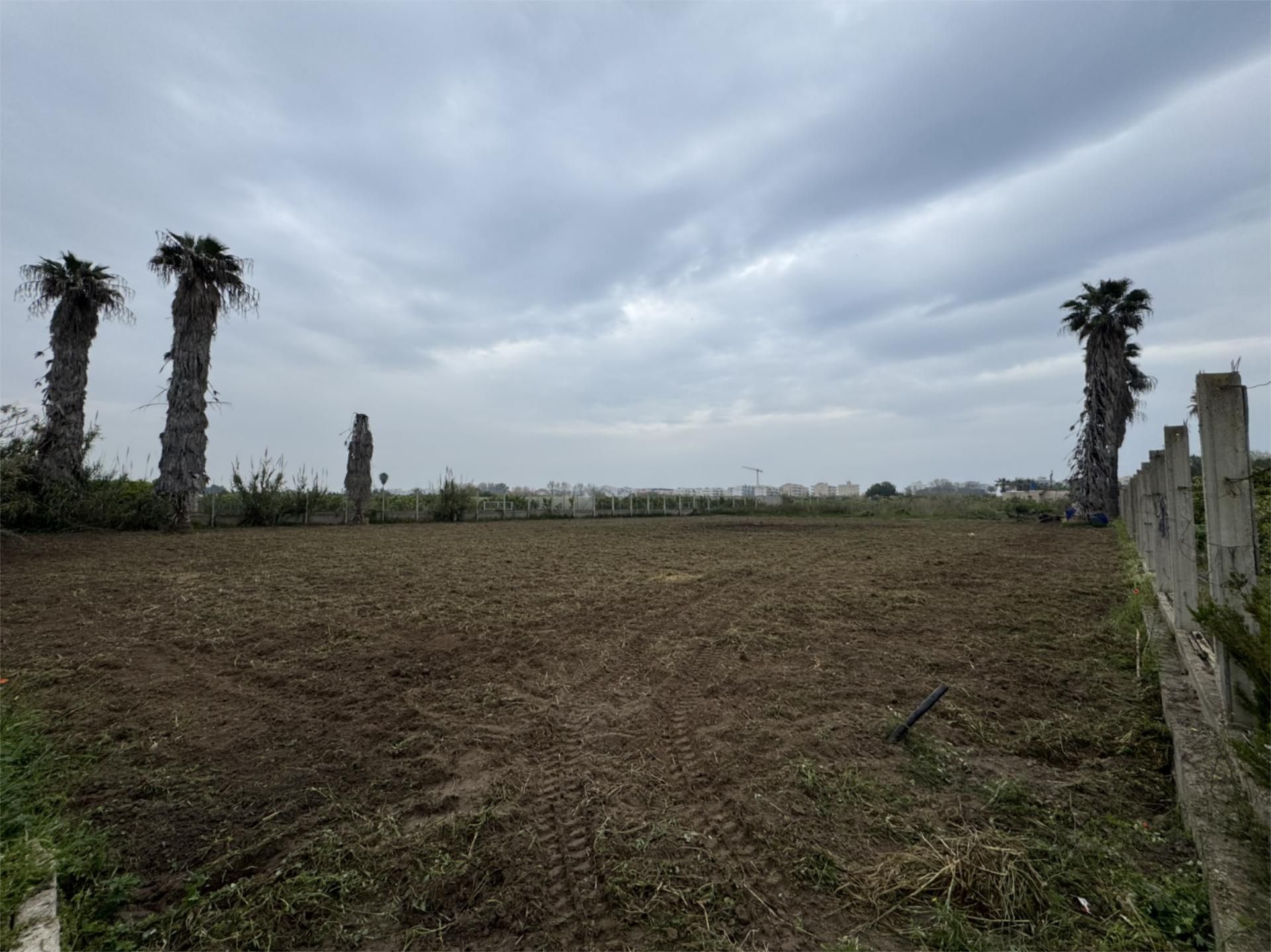 Non-constructible Land for sale in Guardamar de la Safor