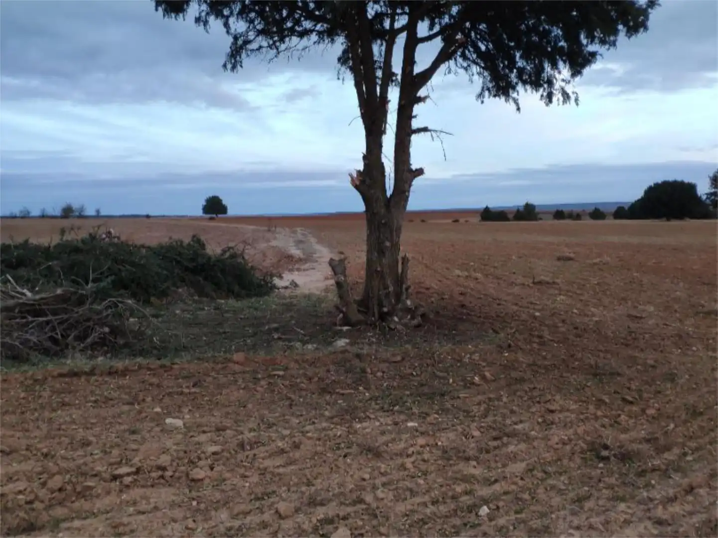 Local de alquiler en Calle Trinquete, 7, Peñaranda de Duero Local de alquiler en Peñaranda de Duero con Aire acondicionado y Amueblado
