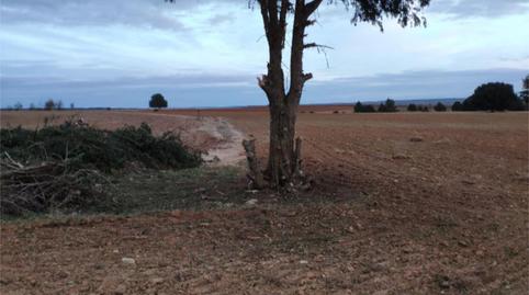 Photo 3 of Premises to rent in Calle Trinquete, 7, Peñaranda de Duero, Burgos