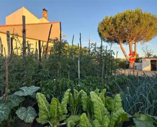 Garden of Single-family semi-detached for sale in Garrafe de Torío