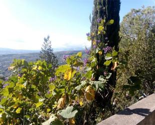 Jardí de Apartament en venda en Alcaucín amb Terrassa i Piscina